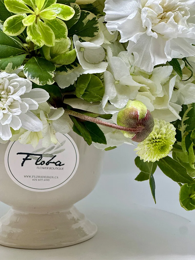 Verdant Grace Arrangement showcasing green and white flowers in a vase