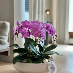 Luxury Pink Orchid Bowl with pink phalaenopsis orchids Vancouver